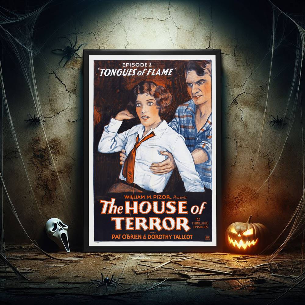 "House Of Terror" (1928) Framed Movie Poster
