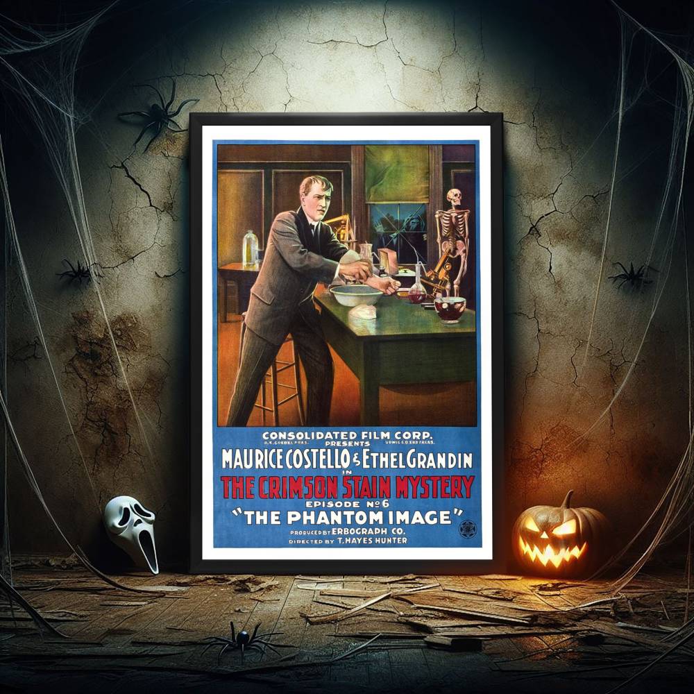 "Crimson Stain Mystery" (1916) Framed Movie Poster